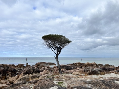 [No subject header found]