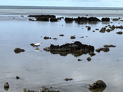 [No subject header found]