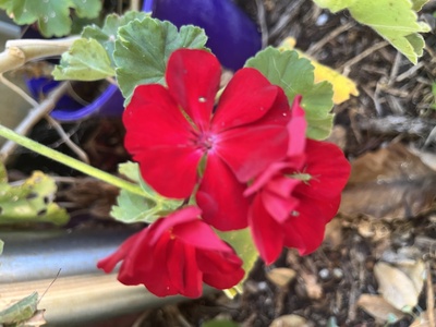 [No subject header found]